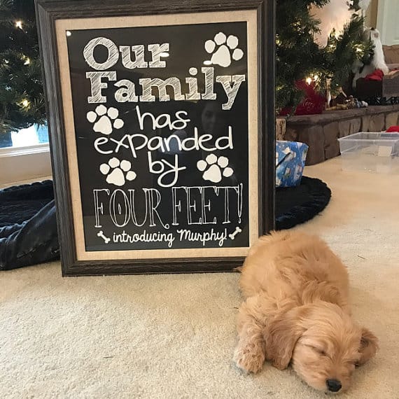 Cute puppy announcement printable