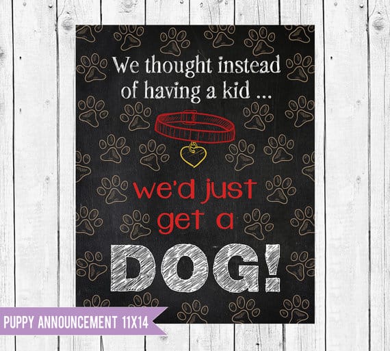 New dog announcement