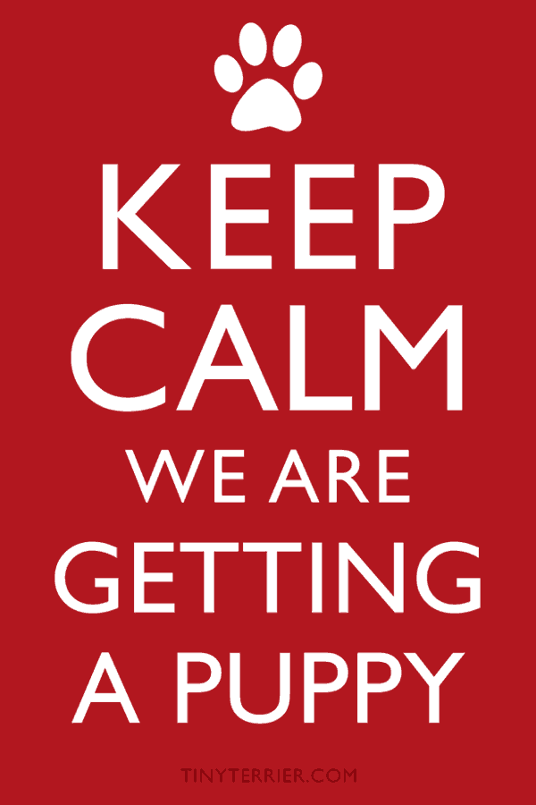 Keep calm we are getting a puppy poster. Free printable puppy announcement for new dog owners.