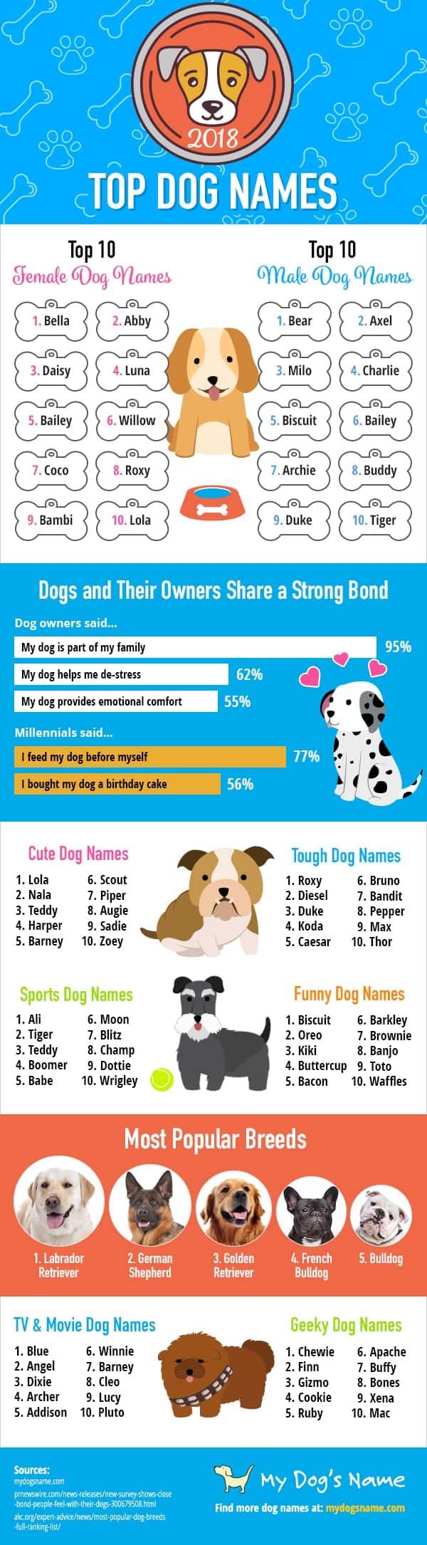 Top dog names for boy & girl dogs [Infographic]