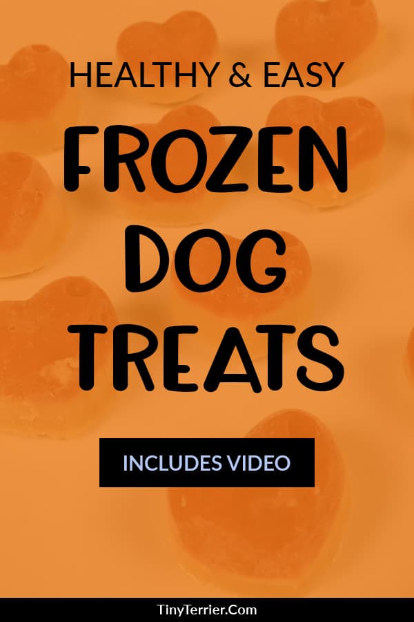 Celebrate summer with your pet by making them these quick and easy homemade dog treats. The frozen strawberries, apples and peanut butter all work together to create a tasty dog treat that's gluten free, grain free, vegetarian and vegan. Yum!