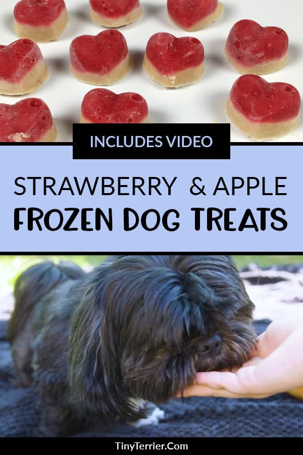 Treat your dog this summer with this quick and easy frozen dog treat recipe video. Combine the healthy fruit flavours of strawberry and apple to create these irresistible pupcicles.