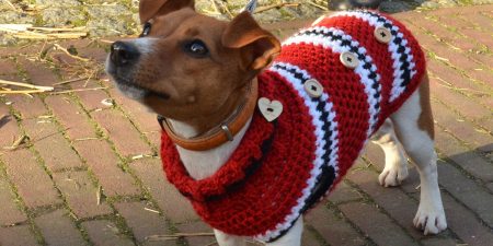 20 Free Sewing Projects for Dogs | DIY Dog Sewing Patterns & Tutorials