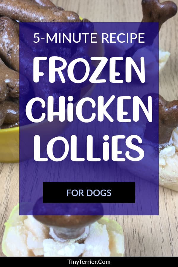 Frozen chicken lollies for dogs. Tempt your dog with these tasty chicken lollipops. The perfect frozen dog treat this summer. Follow the easy dog treat recipe to make this meaty snack. #summerhacks #dogtreats #chicken