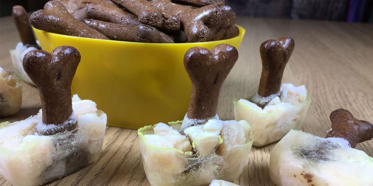 Easy Peanut Butter Pupsicle Frozen Dog Treats - Jen Elizabeth's Journals