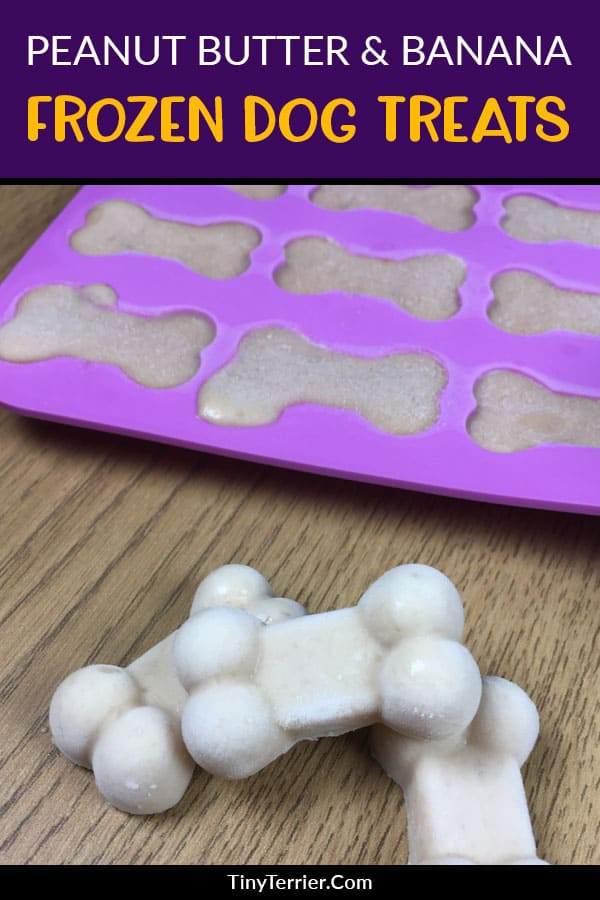 How about a tasty frozen treat for your pooch this summer? Look no further than these yummy peanut butter & banana frozen dog treats that are super easy to make. Your dog will love these tasty peanut butter frosty paws! #dogtreats #dogrecipe #frostypaws #frozendogtreat #peanutbutter