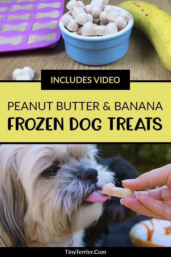 Peanut Butter & Banana Frozen Dog Treats. An easy recipe for frozen dog treats with tasty peanut butter & healthy banana. Whizz up these easy homemade dog treats this summer for the ultimate hot weather hack for dog owners. #dogtreat #banana #peanutbutter #dogrecipes