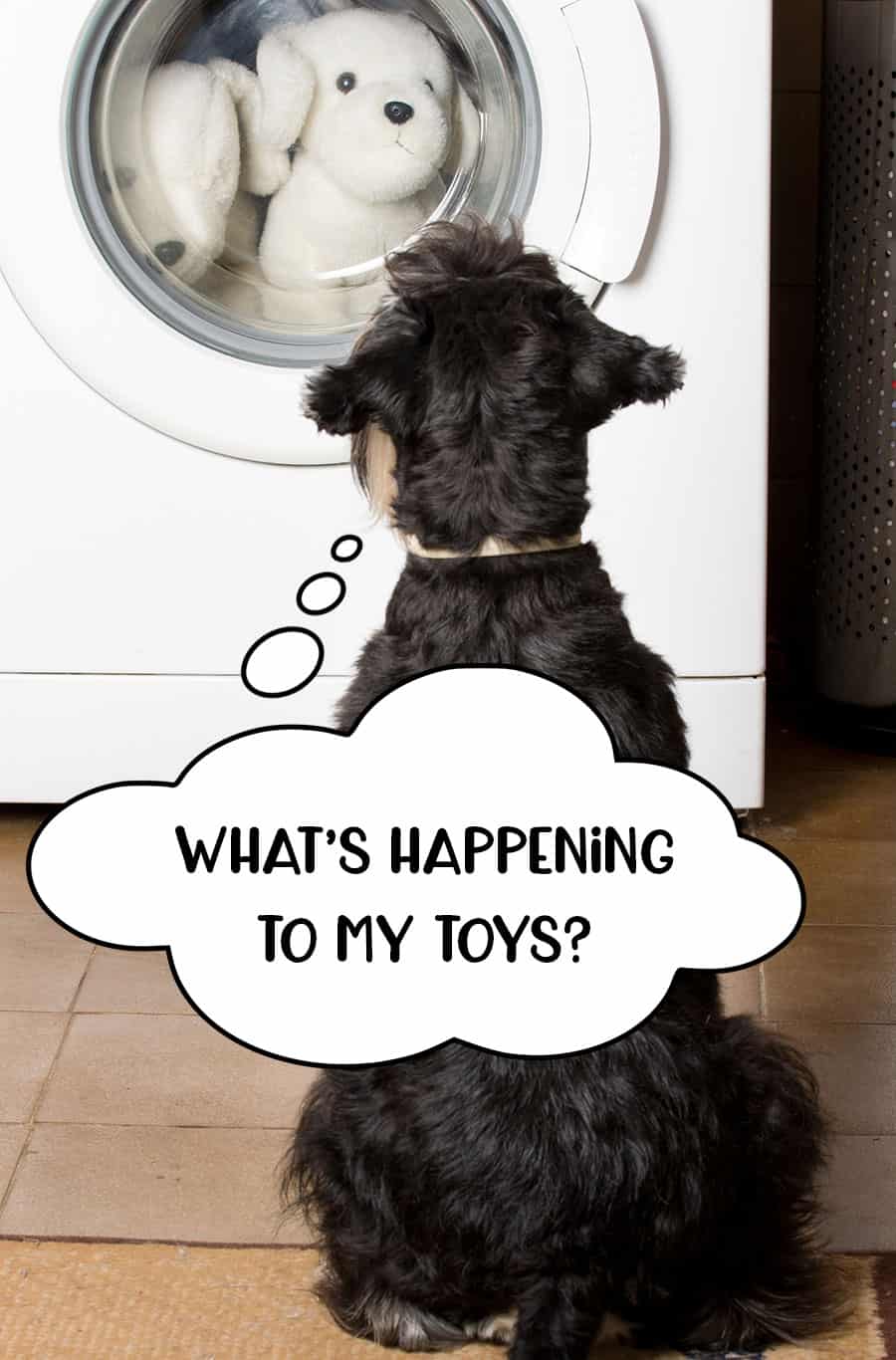 Dog sat watching his toys in the washing machine