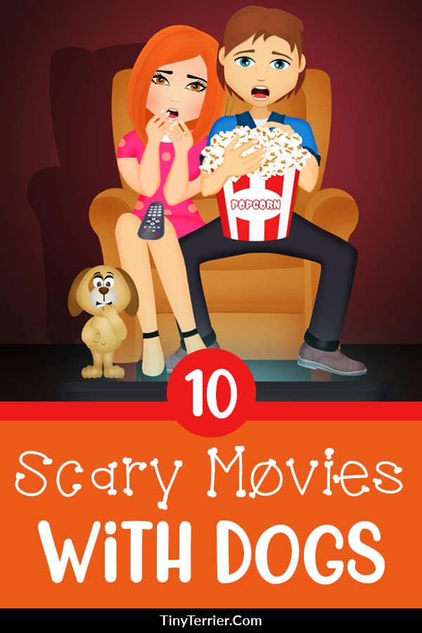 10 Scary Movies with Dogs. Watch the best scary movies that feature dogs. Great for spooking yourself on Halloween! #scary #movies
