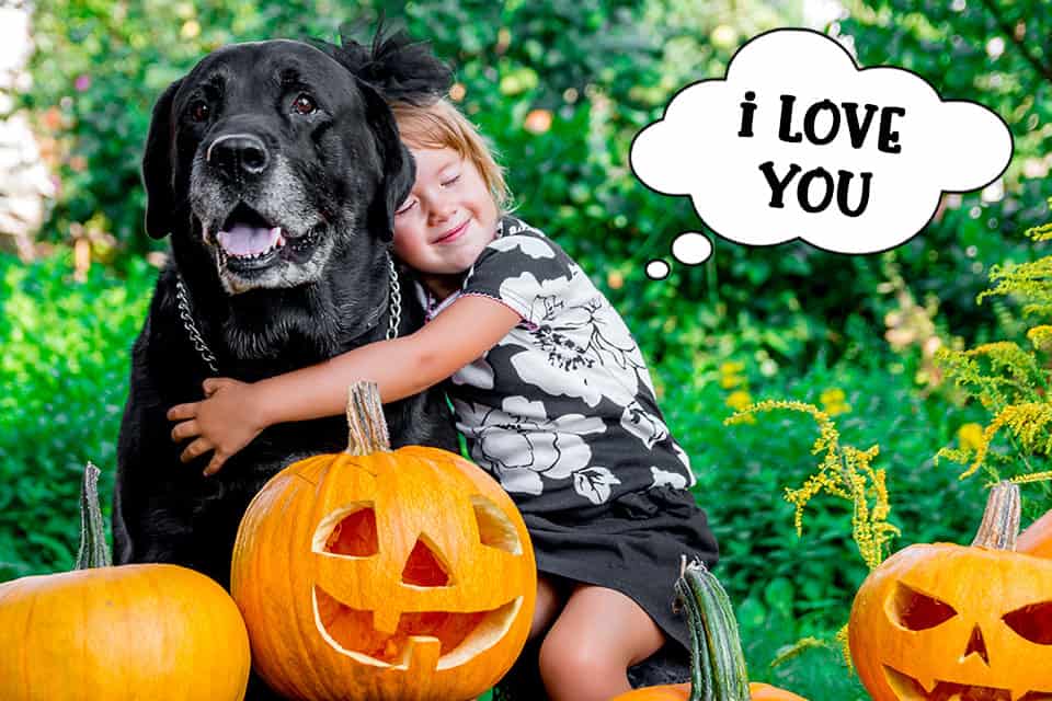 Child hugging dog at Halloween