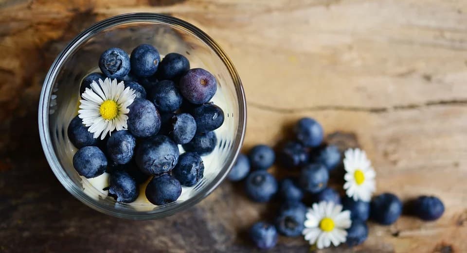 https://tinyterrier.com/wp-content/uploads/2020/02/blueberries.jpg