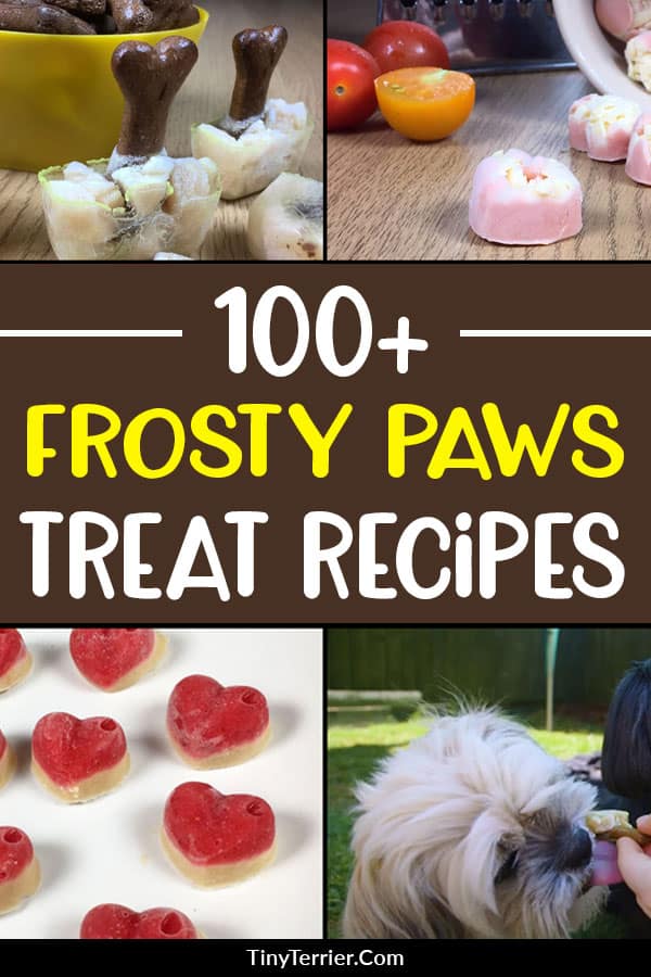 100+ frosty paws treat recipes to make for your dog this summer. Frosty paws recipes for dog treats that you can make in just 5 minutes! All types of ingredients included, from meat to fruit; vegetables to peanut butter. There's something for every dog's taste buds in this HUGE collection of frozen dog treat recipes.