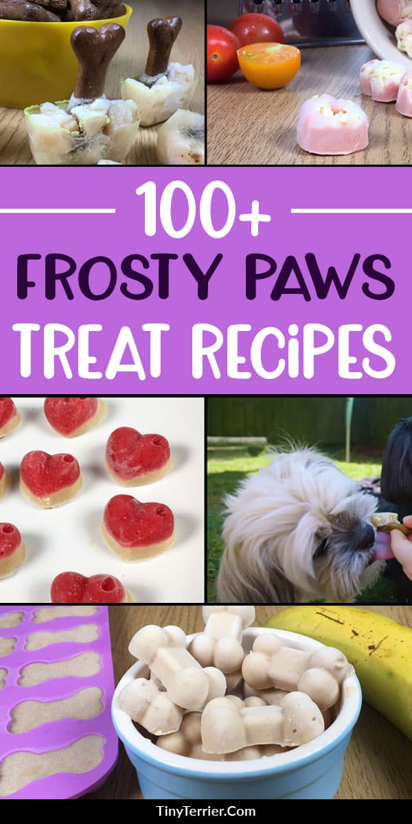 What frozen treats can I give my dog? Frozen dog treats can be made with a wide range of ingredients, including: peanut butter, meat, broth, vegetables, fruit, yogurt and more. Browse over 100 frozen dog treat recipes here. You'll be spoiled for choice!