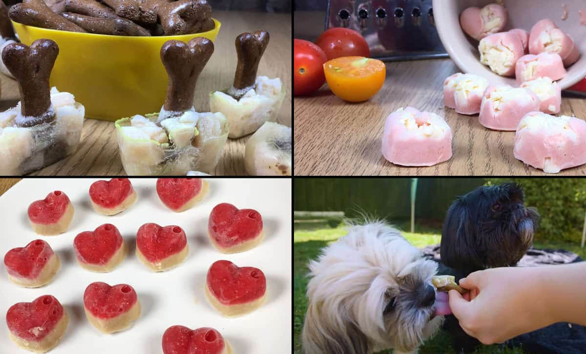 A  Summer Favourite: Chicken And Apple Pupsicles