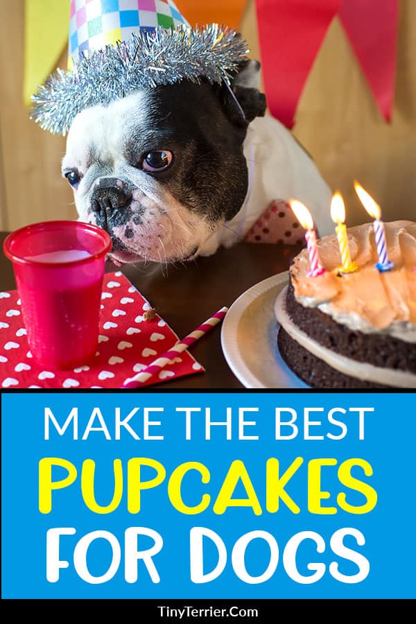 Make the BEST pupcakes for your dog with these amazing dog cake recipes. From cupcakes for dogs to celebration cakes with real bacon bits, treat your dog on his birthday with these fun pupcake recipes.