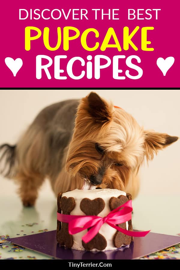 The Best Pupcake Recipes for Dog Birthday Cakes
