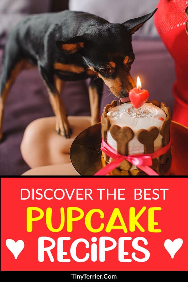 Discover the BEST pupcakes to bake for your dog. Learn how to make a birthday cake for a dog with this dog-friendly recipes to bake today! #pupcakes